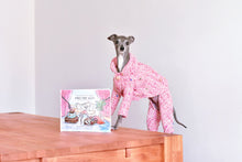 Load image into Gallery viewer, Book - English: Tika The Iggy And Her Fashion Tour