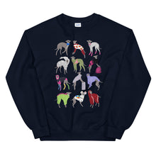 Load image into Gallery viewer, Sweatshirt - Fashion Tika