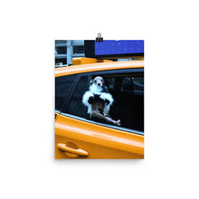 Load image into Gallery viewer, Poster - NYC Taxi Tika