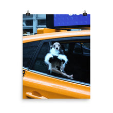 Load image into Gallery viewer, Poster - NYC Taxi Tika