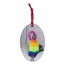 Load image into Gallery viewer, Ornaments - Rainbow Tika