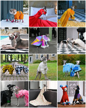 Load image into Gallery viewer, Calendar - Tika the Iggy 2026