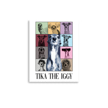 Load image into Gallery viewer, Poster - Tika Through the Years