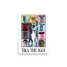 Load image into Gallery viewer, Poster - Tika Through the Years