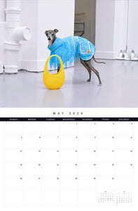 Calendar - Tika the Iggy 2024