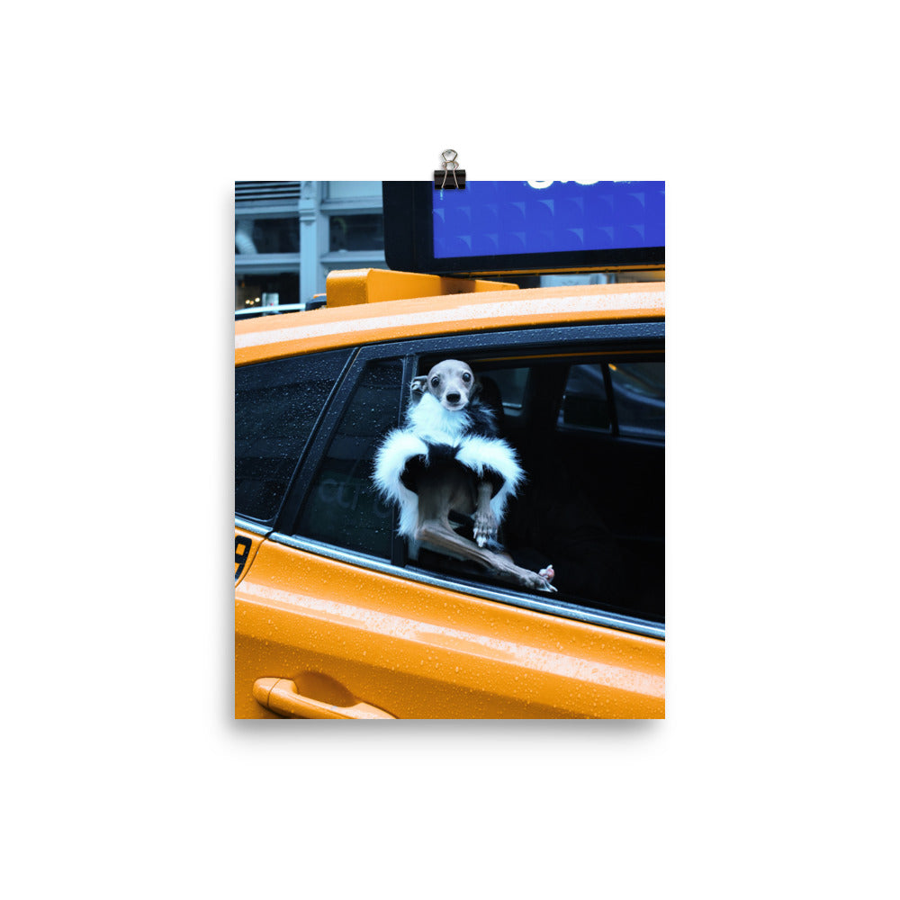 Poster - NYC Taxi Tika