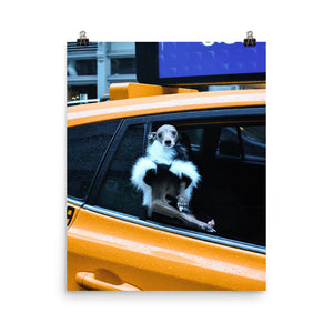 Poster - NYC Taxi Tika